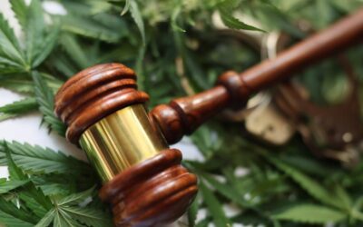 Marijuana and DWIs in Minnesota: What You Need to Know Under Statute 169A.20